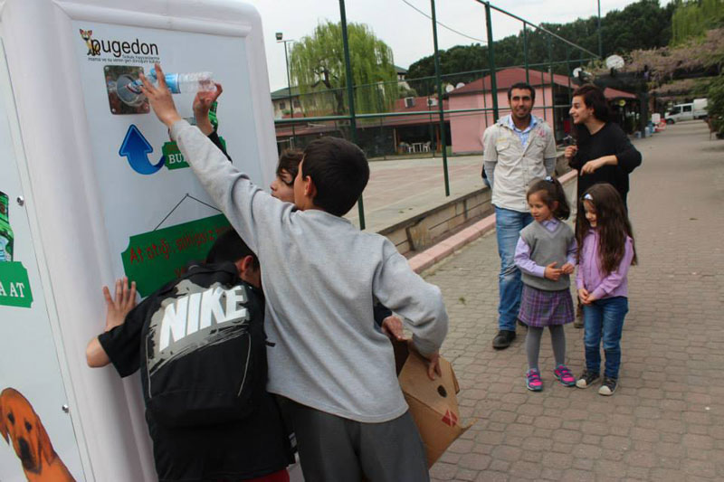 Istanbul: distributori automatici di cibo ed acqua per gli animali di  strada - greenMe