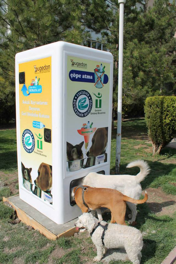 Questo distributore automatico fornisce acqua e cibo ai cani