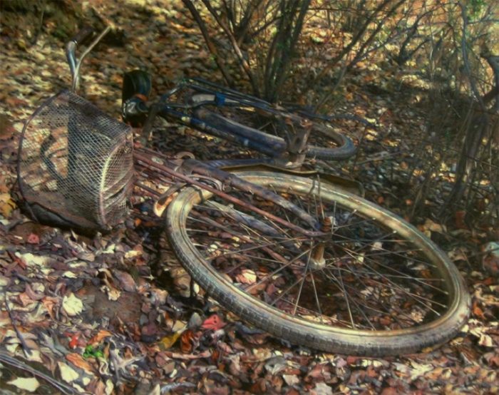 dipinti ad olio di donne in biciclette