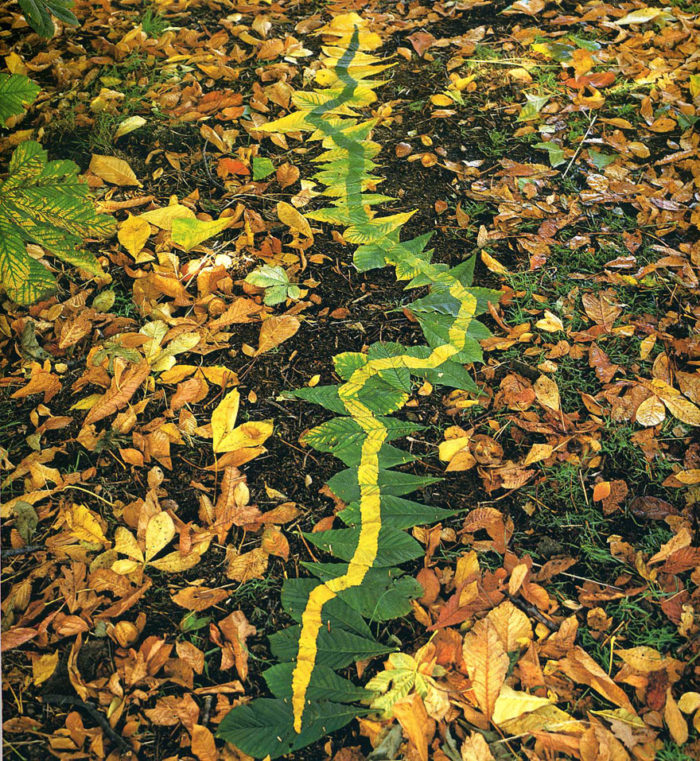 La Magica Land Art Di Andy Goldsworthy