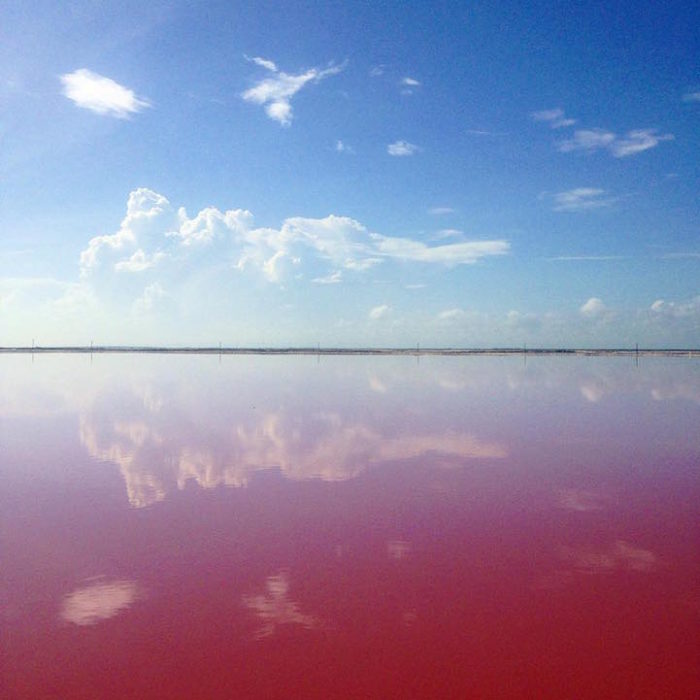 In Messico Esiste Una Laguna Rosa Che Sembra Uscita Da Un