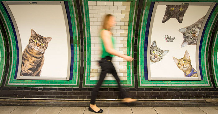 Nella Metropolitana Di Londra Non Troverete Nessuna Pubblicita Solo Gatti