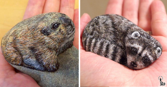 Artista dà vita alle pietre trasformandole in piccoli animali (30 nuove  foto)