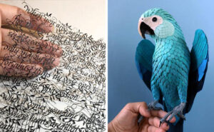 L'artista Bethany Bickley illustra libri con incredibili sculture di carta