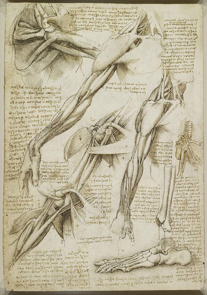 Tutte le 1.119 pagine del Codice Atlantico di Leonardo da Vinci