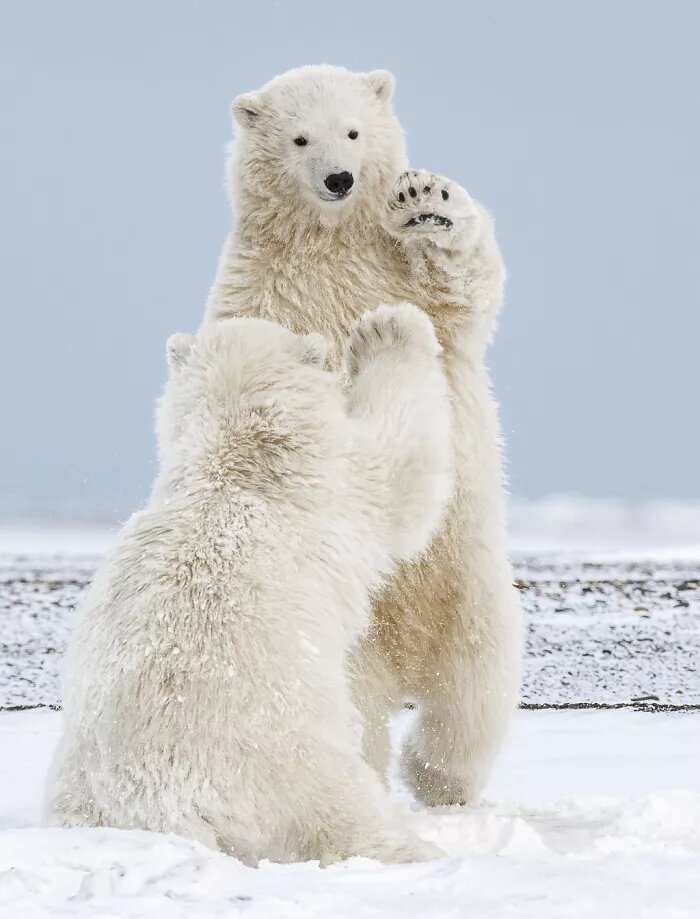 30 immagini mozzafiato finaliste del National Geographic Photo Travel ...