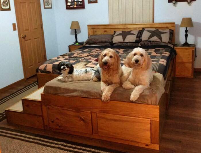 Un letto personalizzato con incorporato un lettino per cane o
