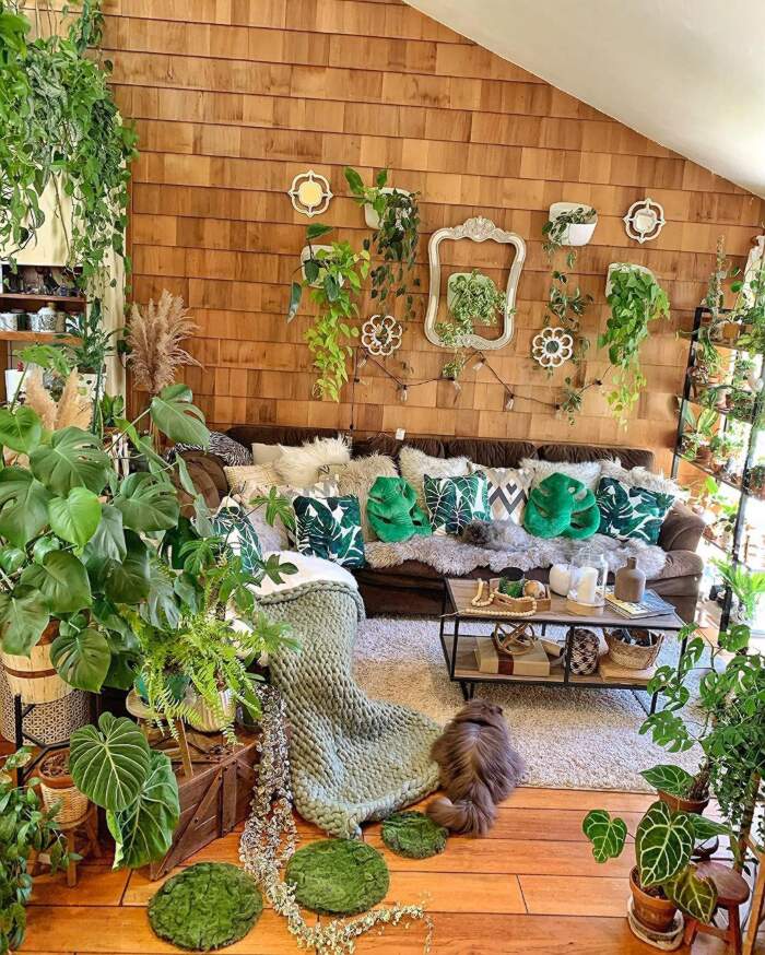 Meglio vivere con le piante che con le persone, così riempie casa di 300  specie botaniche diverse
