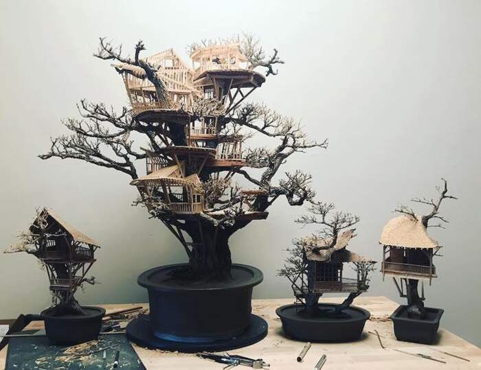 Bonsai, Partita Completa meditando e coltivando un albero in miniatura! 