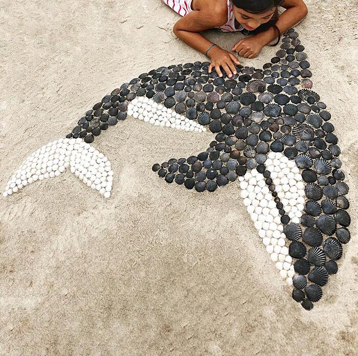 L'artista che fa disegni con le conchiglie trovate in spiaggia