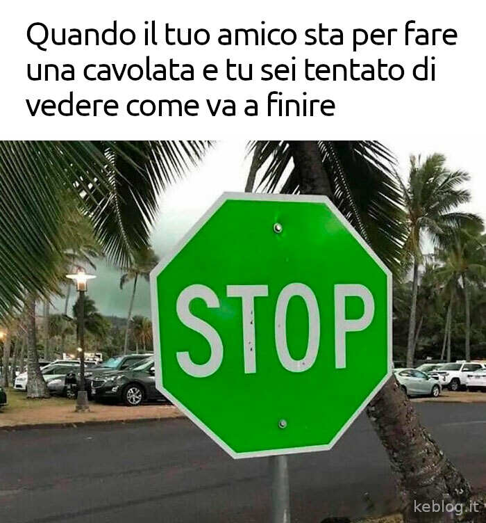 meme del segnale di stop