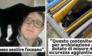 Il gatto Arthur è morto mentre cercava di proteggere due bambini da un  serpente pericolosissimo - Il Fatto Quotidiano