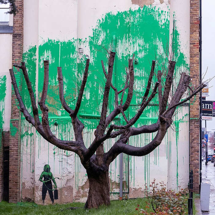 L'ultima opera di Banksy a Londra un albero con foglie di vernice che